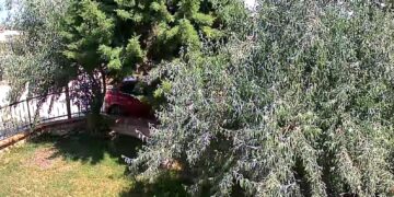 Acil Servis ve Sayılar
