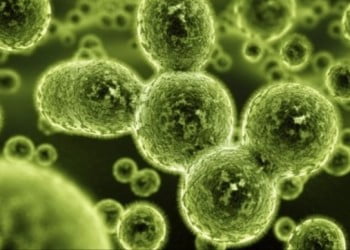 Penisilin grubu antibiyotikler