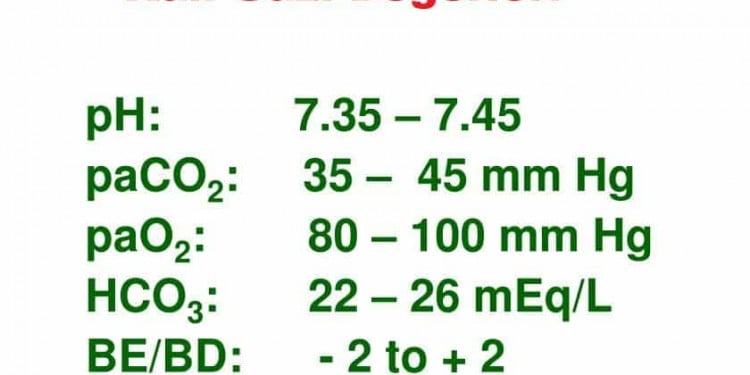 Kan Gazı Soruları