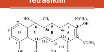 Tetrasiklinler