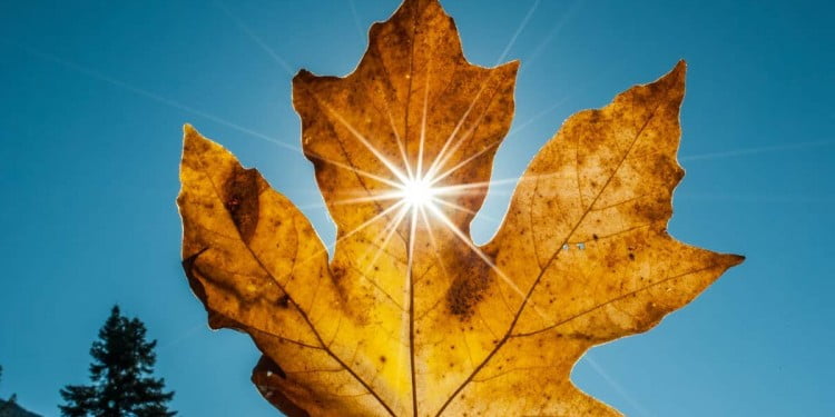 Stabiller Anjiyodan Fayda Görmez