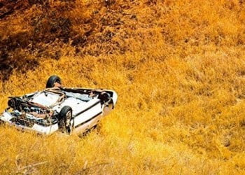 Digoksin ve Kalsiyum Anlaşamaz Demek Doğru Olmaz