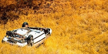 Digoksin ve Kalsiyum Anlaşamaz Demek Doğru Olmaz