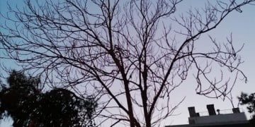 Düşürülmesi gereken tansiyon var, bir de kafa içi kanama var