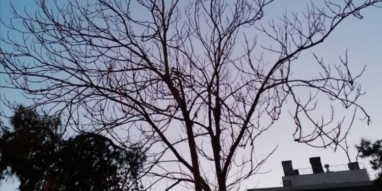 Düşürülmesi gereken tansiyon var, bir de kafa içi kanama var