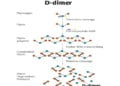 Gebeler de d-dimer referans değerleri
