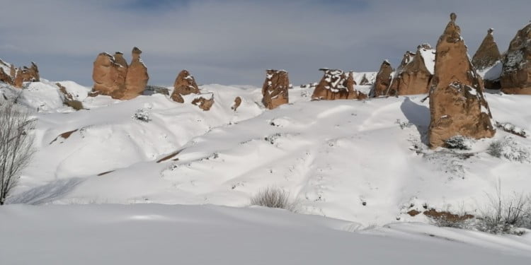 Ayakkabı giyen neden antibiyotik kullanır