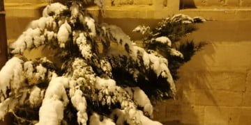 Varfarin kullanan hastalarda INR sayılarının şaşkınlık yaratması üzerine