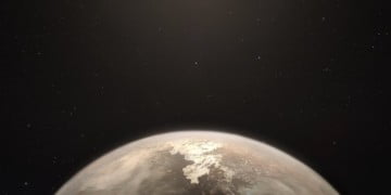 COVID-19 bulguları