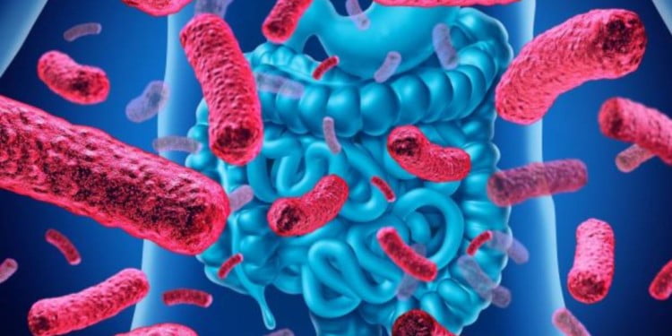 DİSBİYOZİS OBEZİTEYE NEDEN OLUYOR