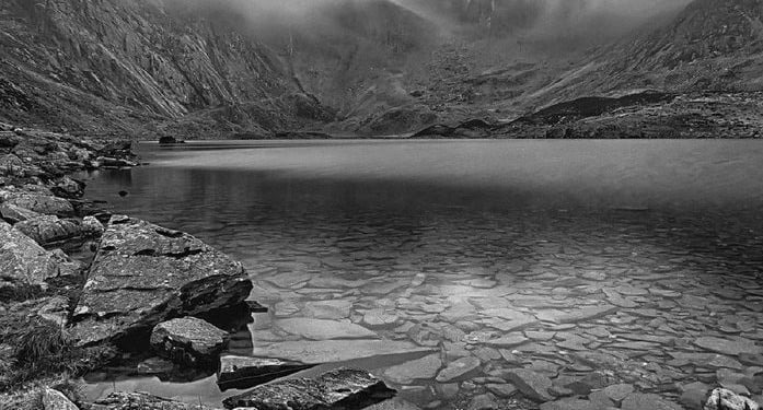 Akut Mezenterik Covid-19 İskemi