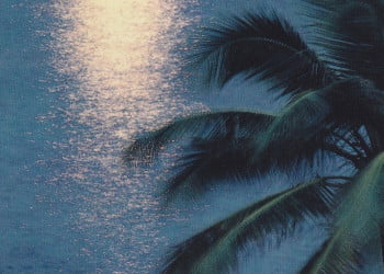 Koronavirüs ve Akut Apandisit