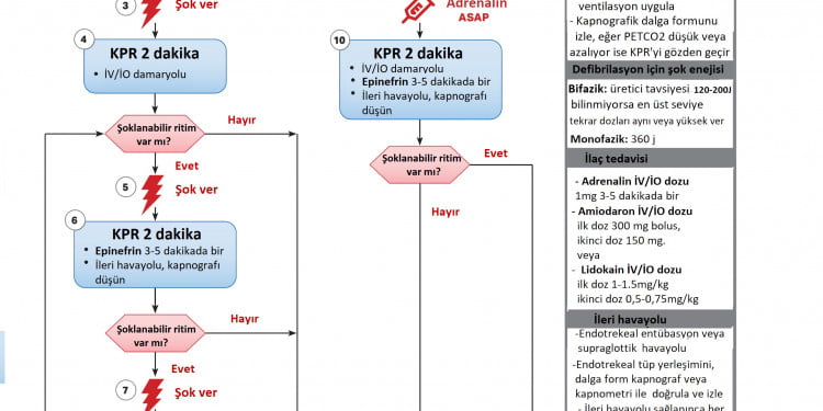 Erişkin kardiyak arrest algoritması 2020