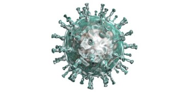 Herpes trombozu