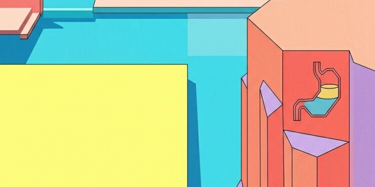 Gastrik POCUS ve Dolu Mide